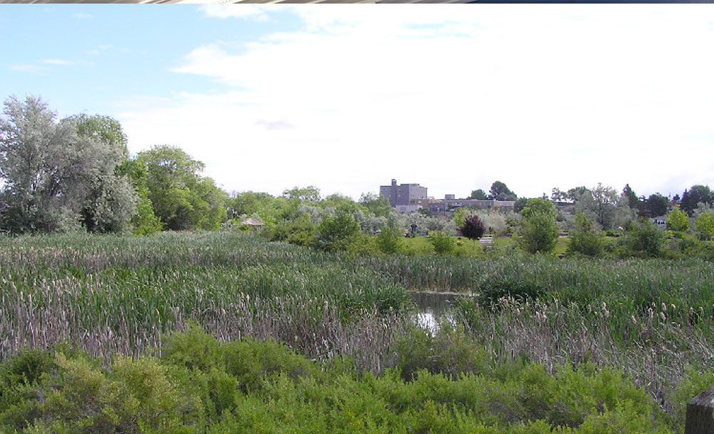 Three Ponds Wetland Park